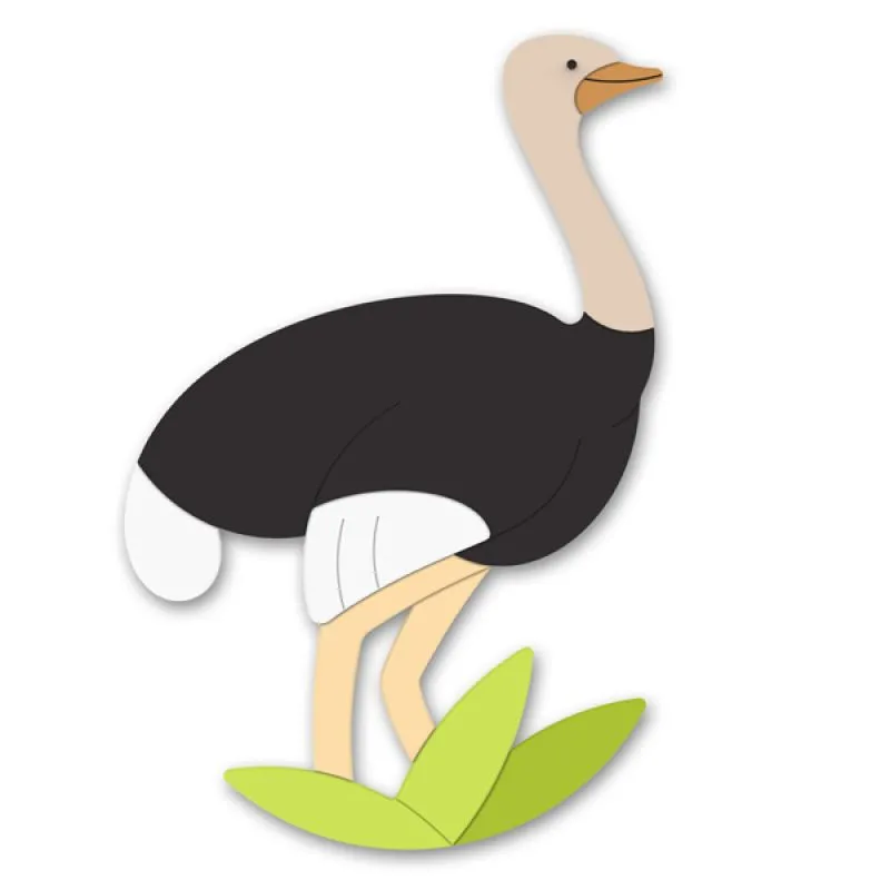 Wall Decorations Ostrich Wall Decorations Ostrich