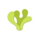 Wall Decorations Coral