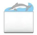 Magnettafel Delfin spielender Delfin